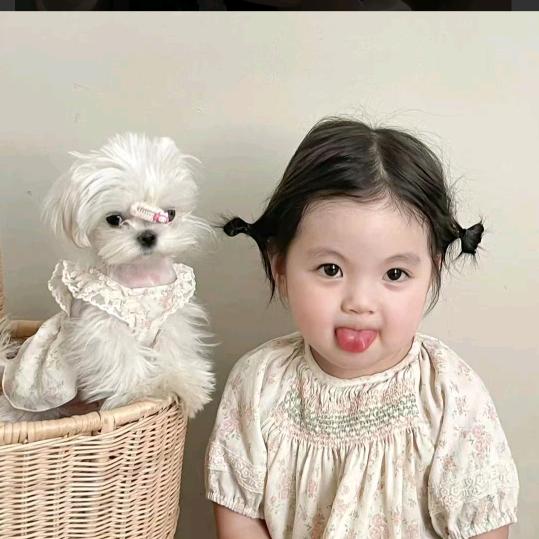 ，爱旭