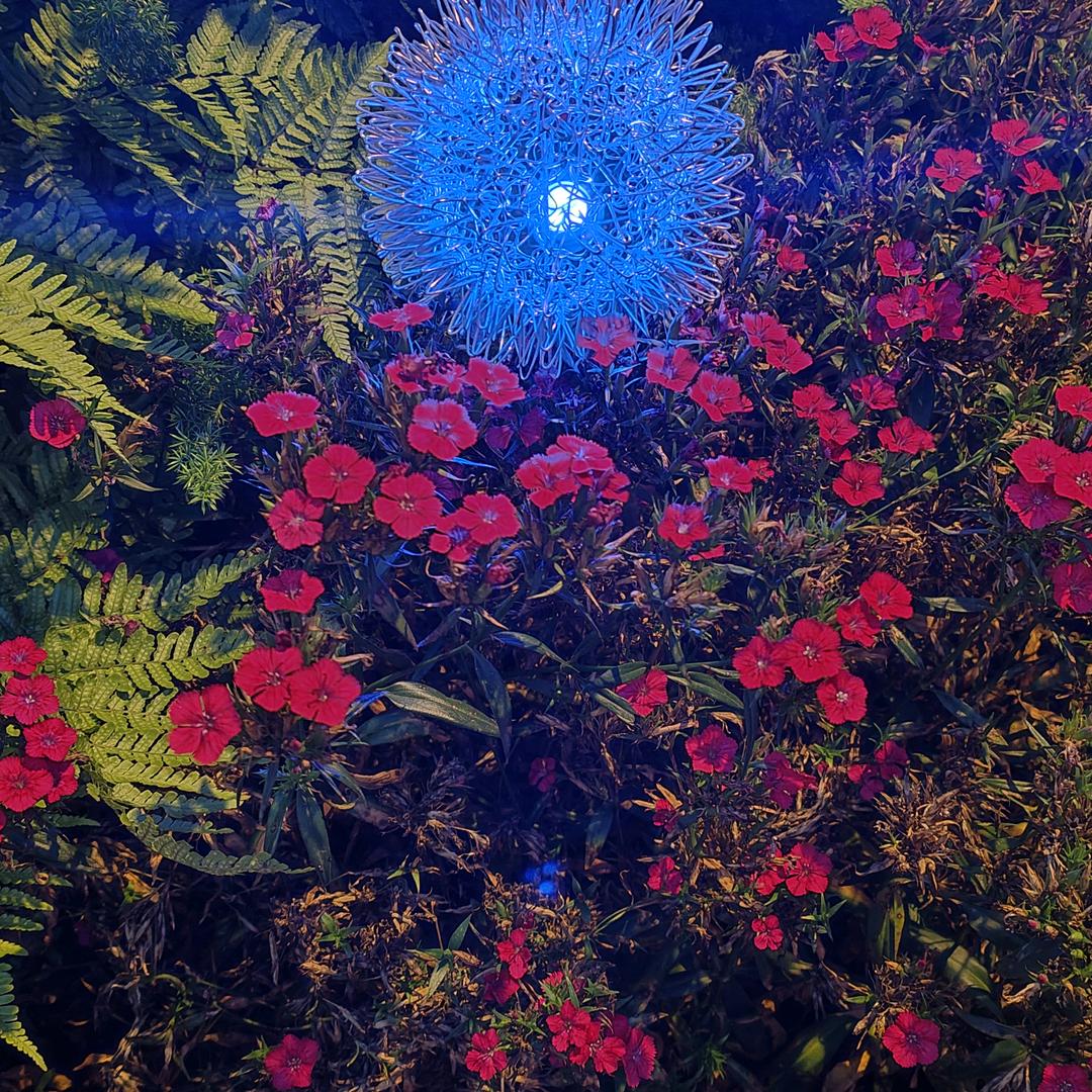 美好明天