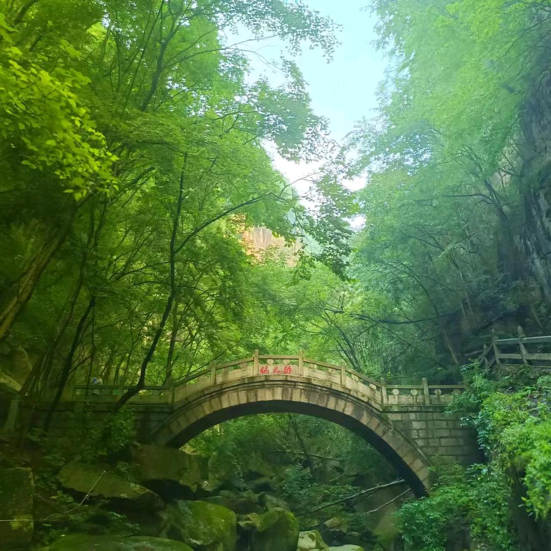 葫芦里没有药