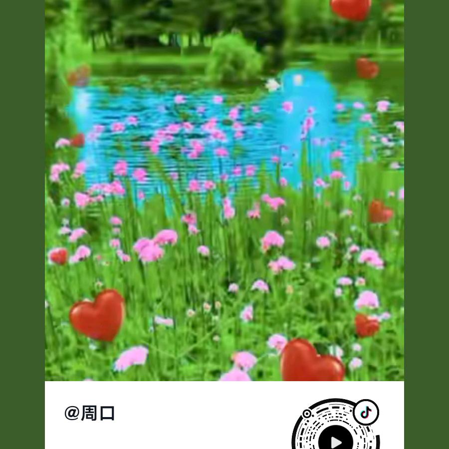 周口