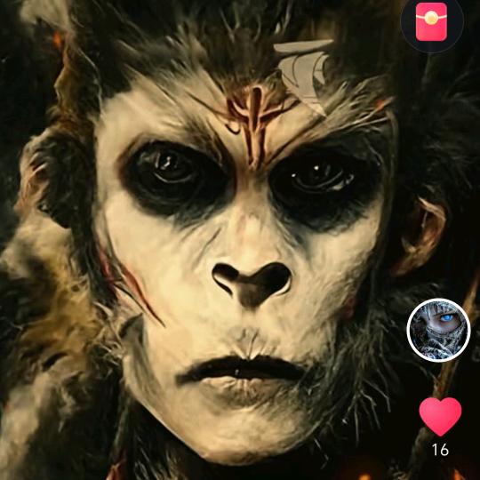 搅屎棍的棍