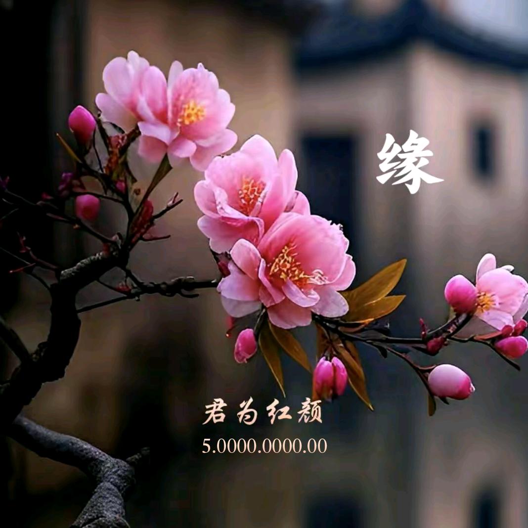 ♪♫君為紅顏♬♩℡²⁰²⁵