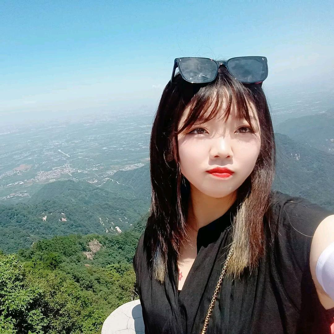 嘎嘎香鲜肉饼