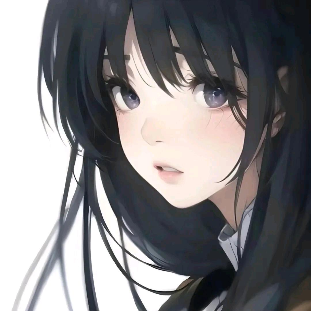 霸都小猫咪