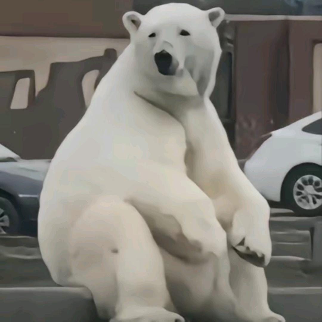 -v-