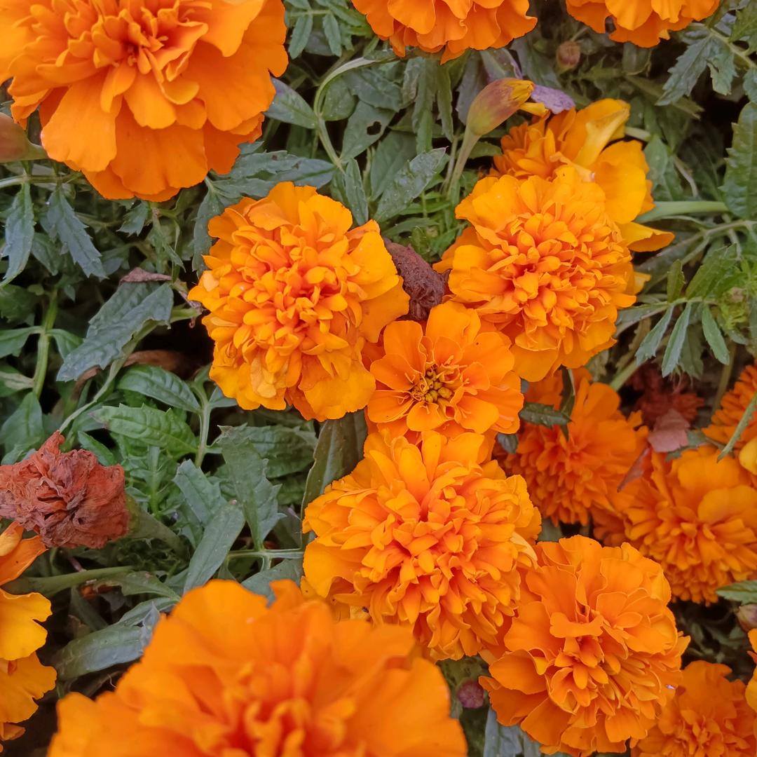 每一天美一天，《拒私聊》