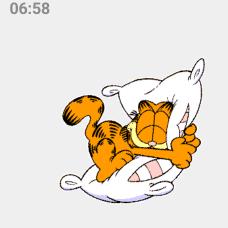 大懒猫