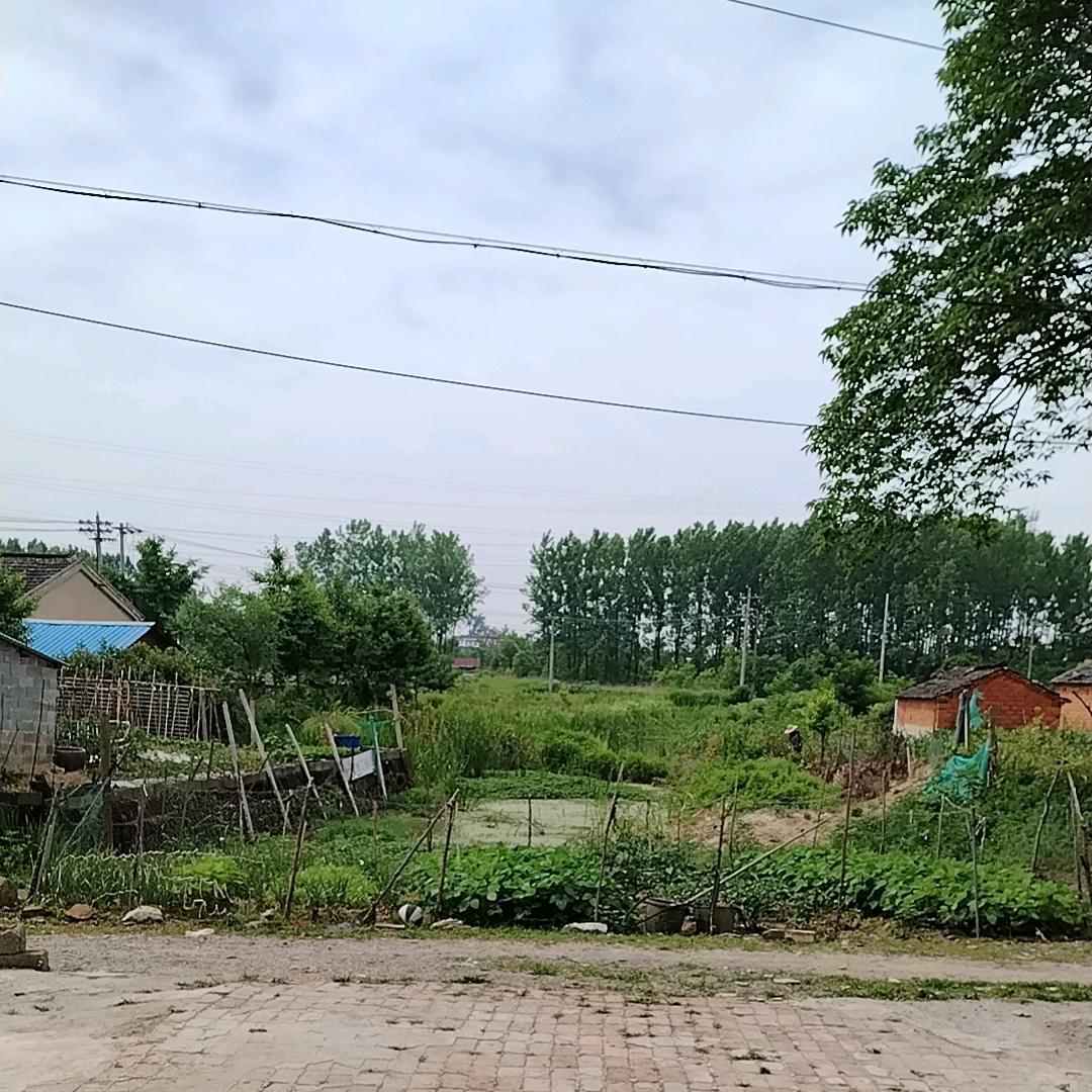 全屋装修（烔炀镇改水电）（水电安装）