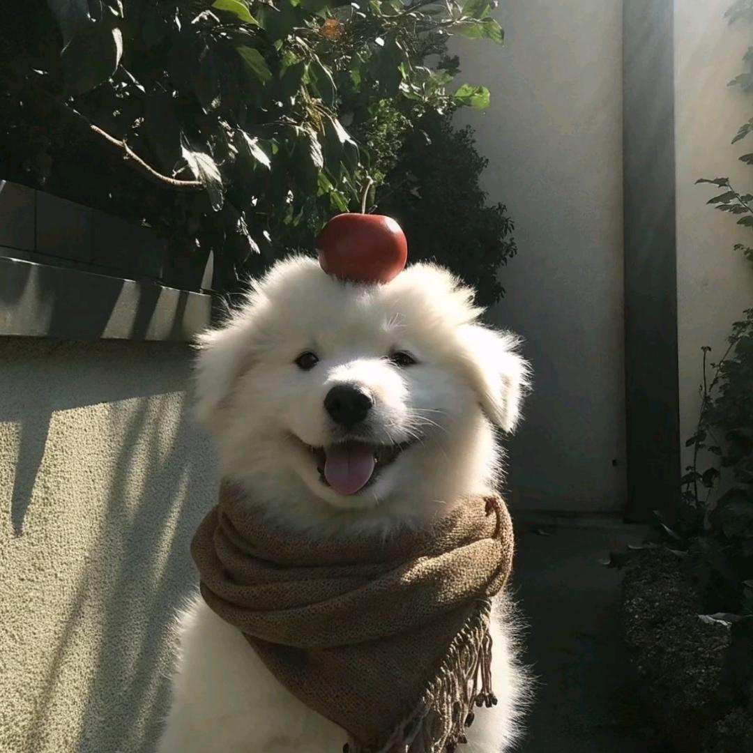 只是留