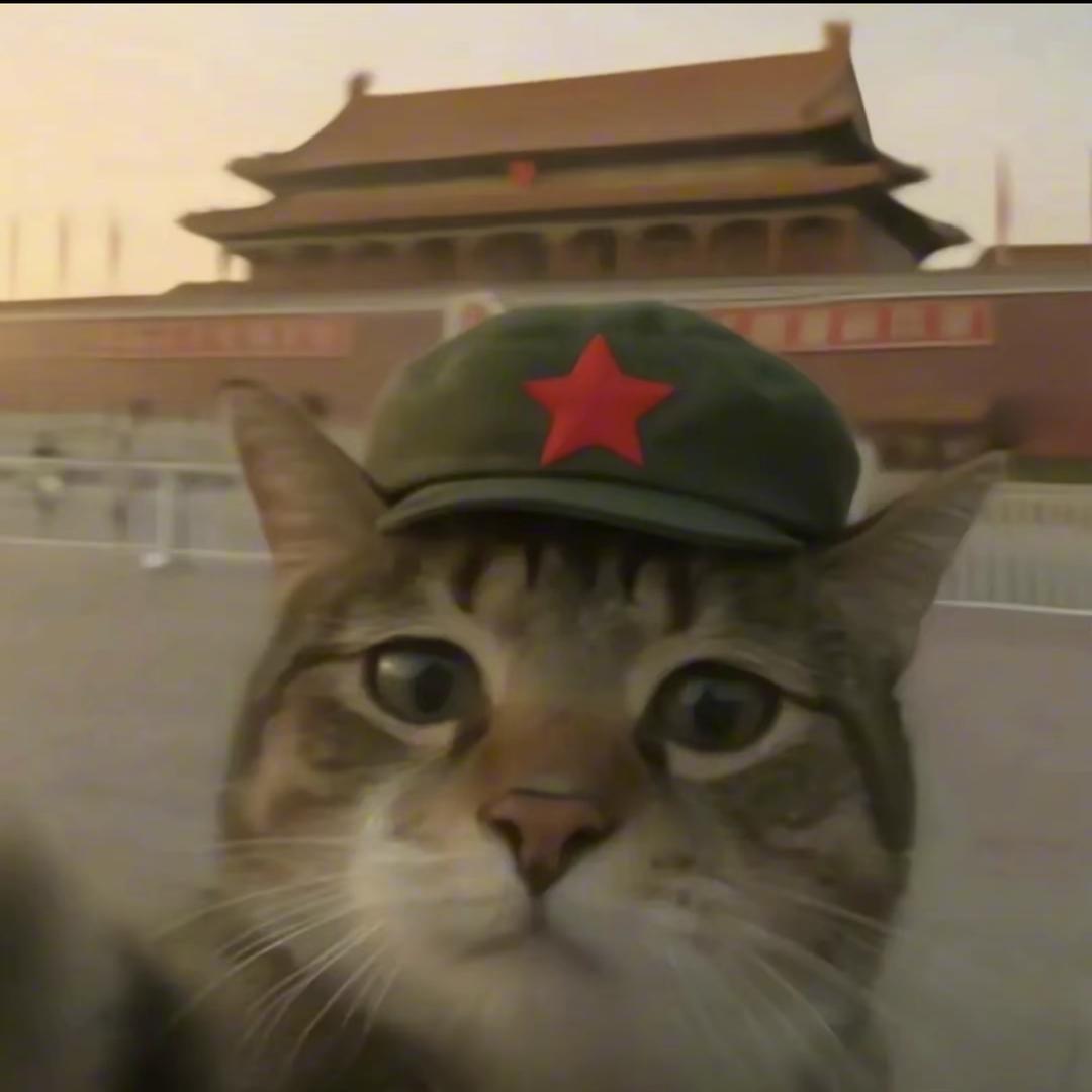 瘦瘦的胖子