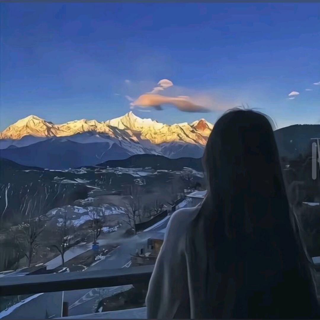 🌲山鸟与光☀️