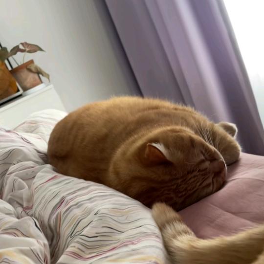 啦啦啦啦啦啦啦