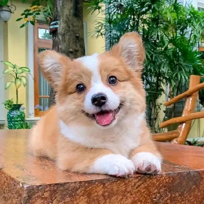晚安