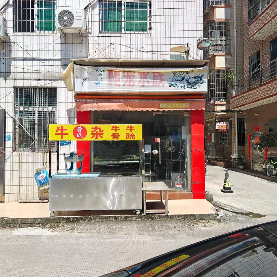 人和牛杂佬的水族店