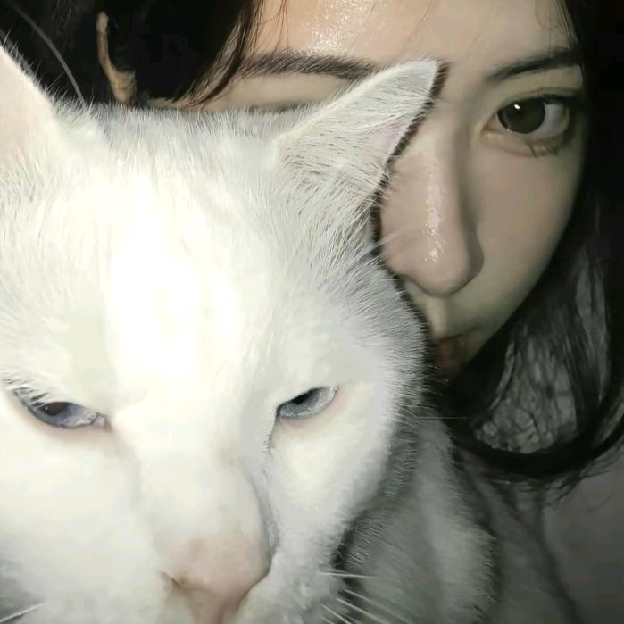我要两颗西柚.