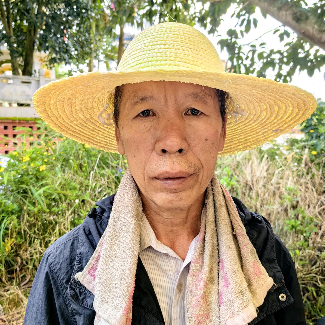 老茶农源头茶