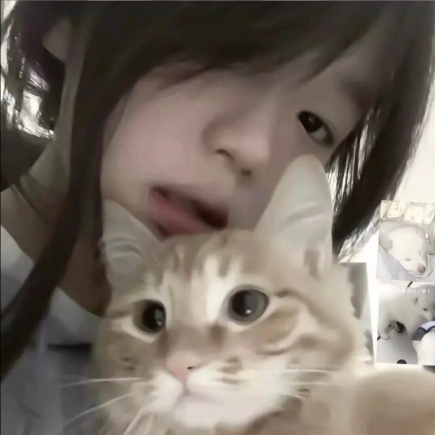 秋慧