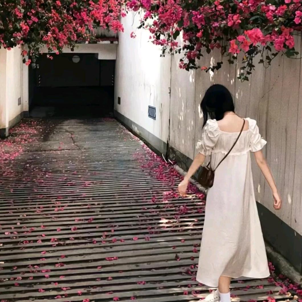 我⁵𓆡了