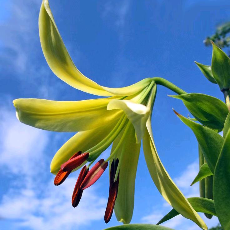 相遇2016🌹🌹🌹