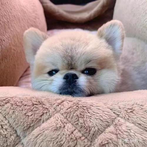神奇无悔