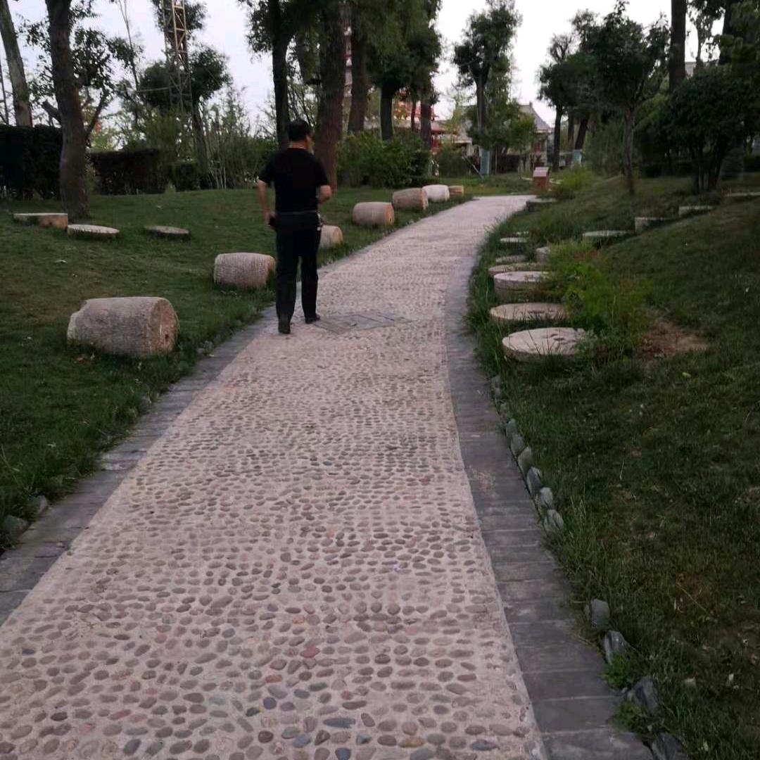 漠谷河畔书公子