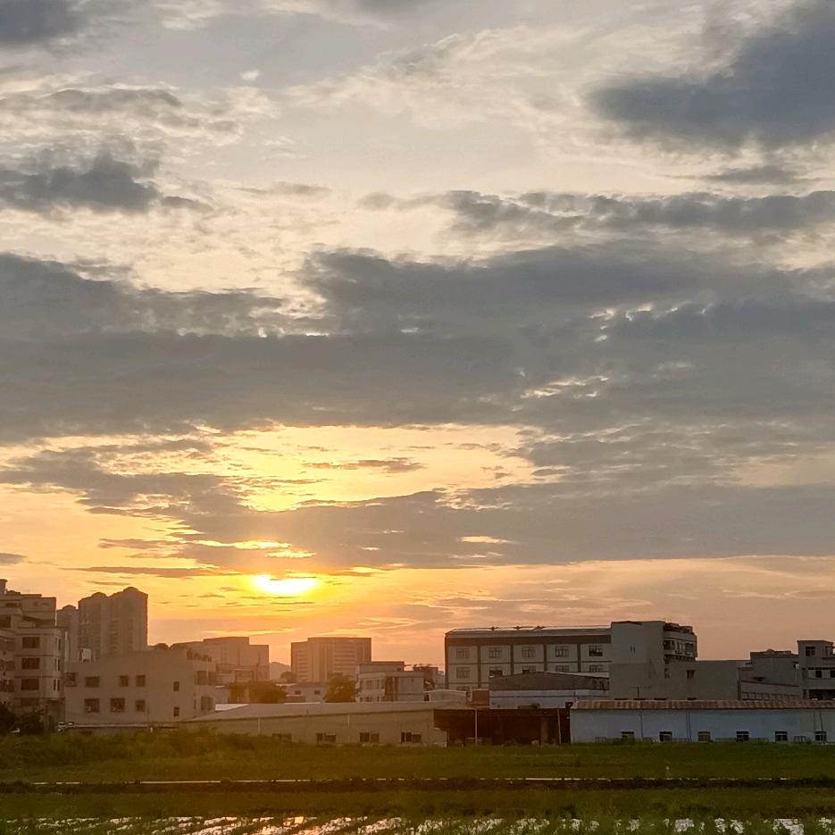 风梓李