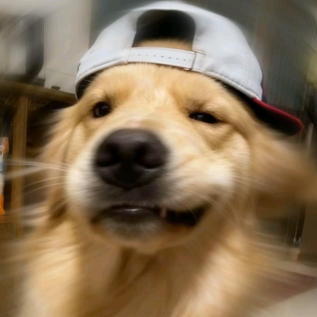 封存