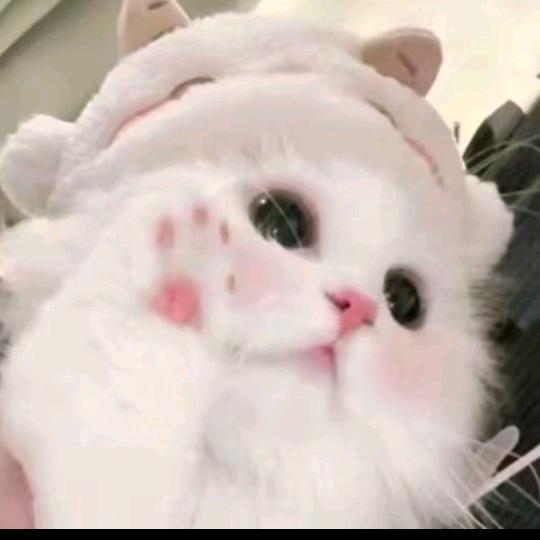 ^璃月^