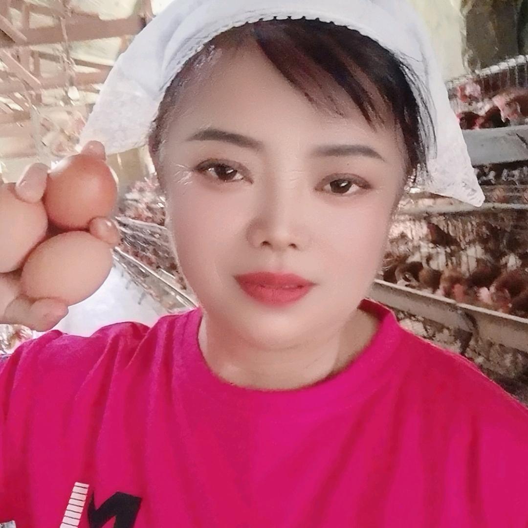 幸福姐—蛋鸡养殖