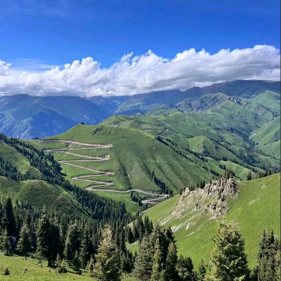 ☁️云栖鹤唳