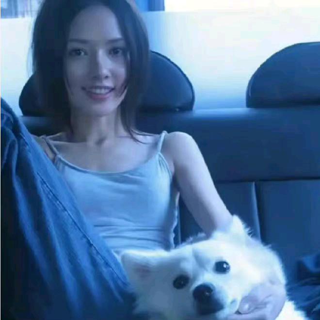 吞掉月亮的鲸鱼