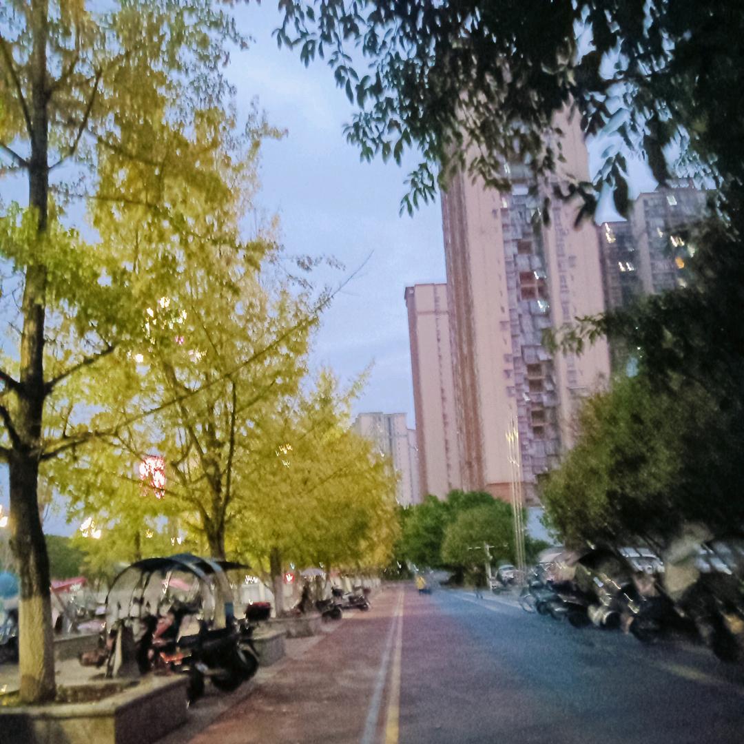 大王姐