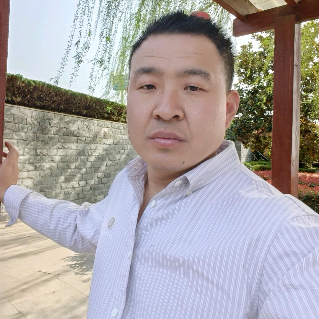 奋斗的小鸟