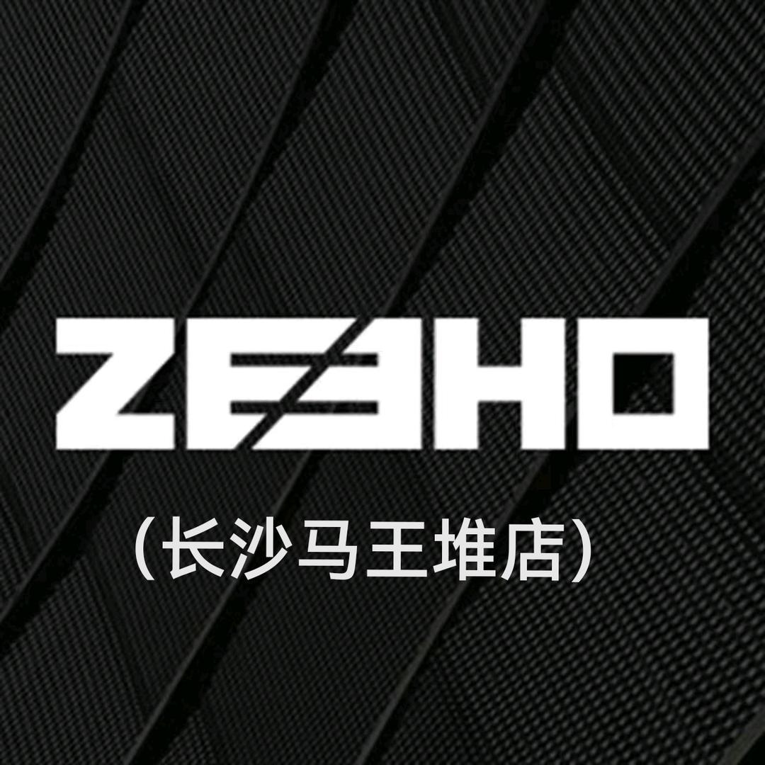 ZEEHO极核电动(长沙马王堆店)
