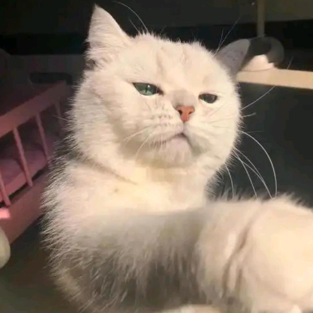 荔枝西瓜