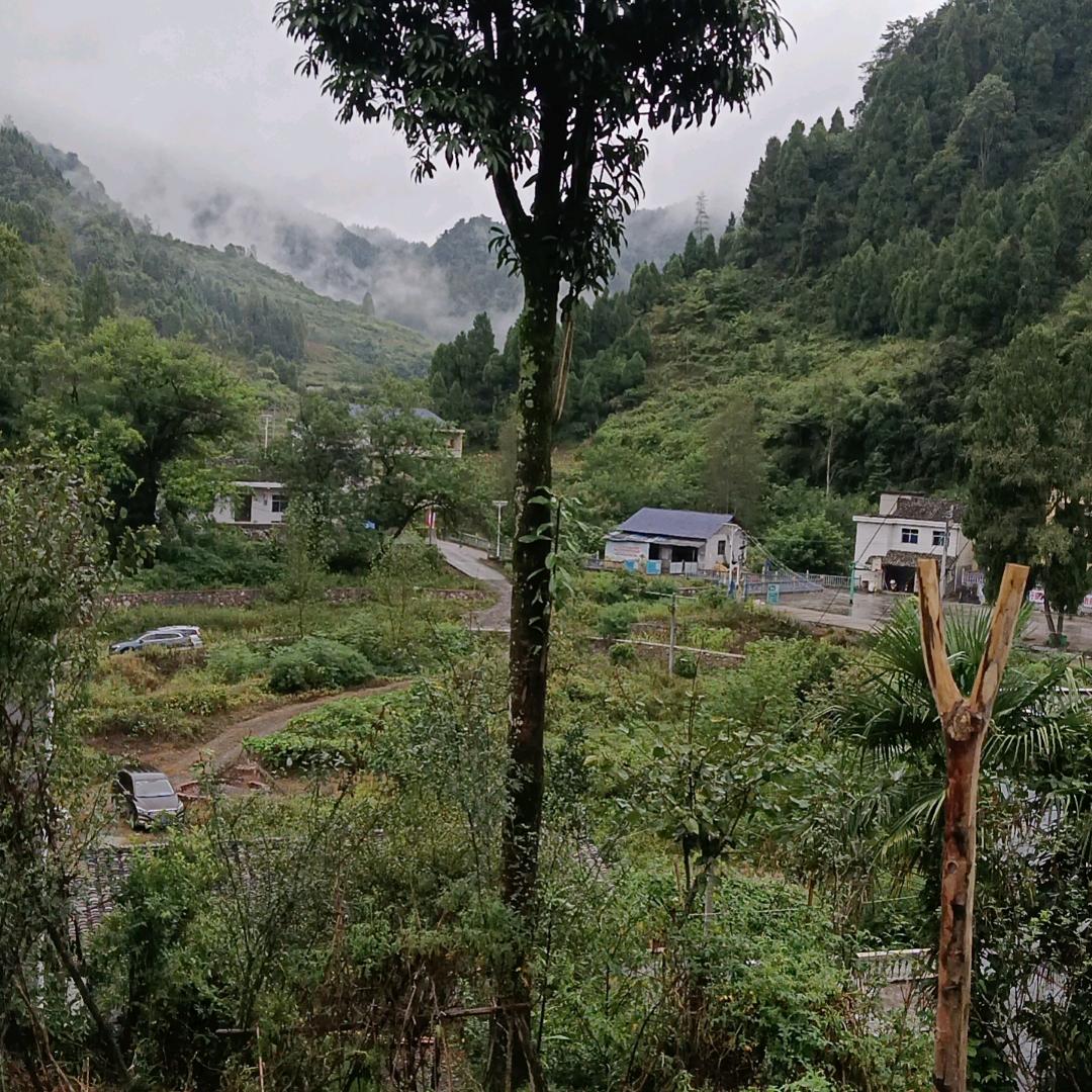 平平淡淡一生