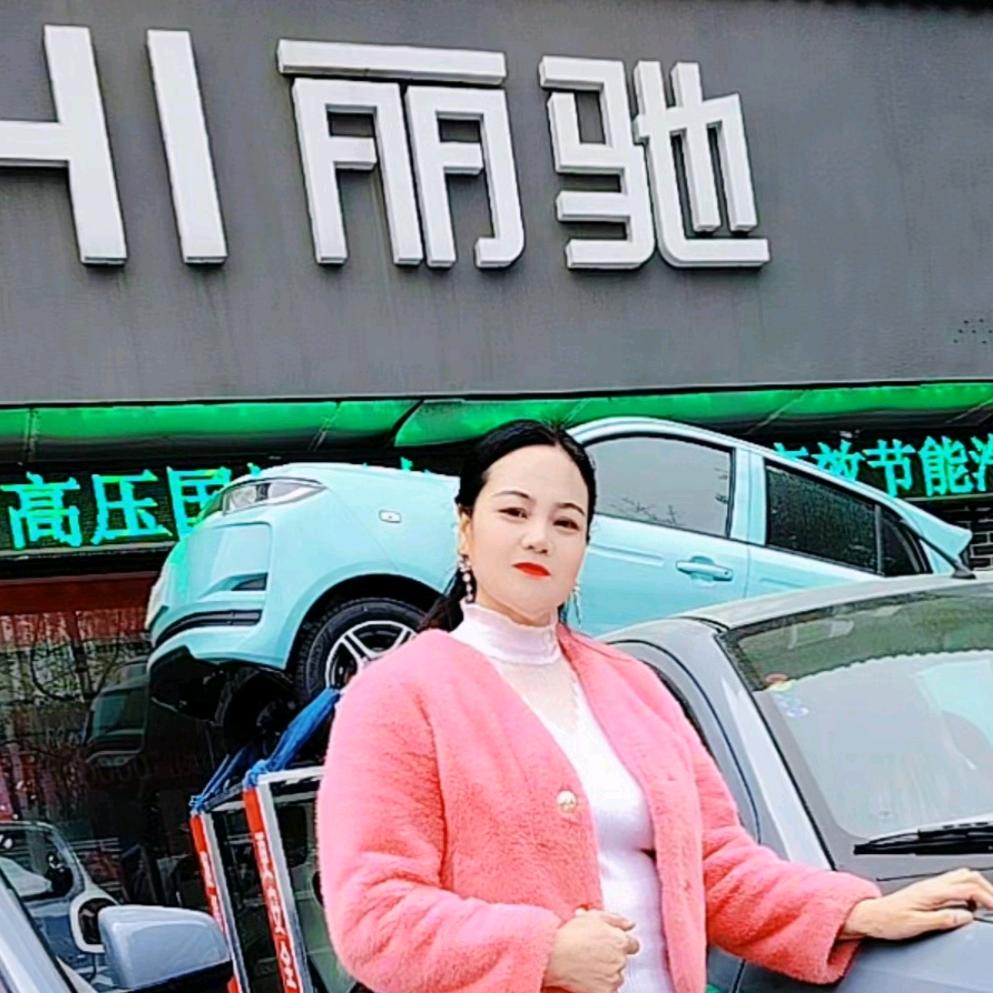 西峡丽驰电动汽车（落雪）