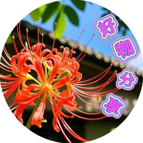 牧歌好物分享