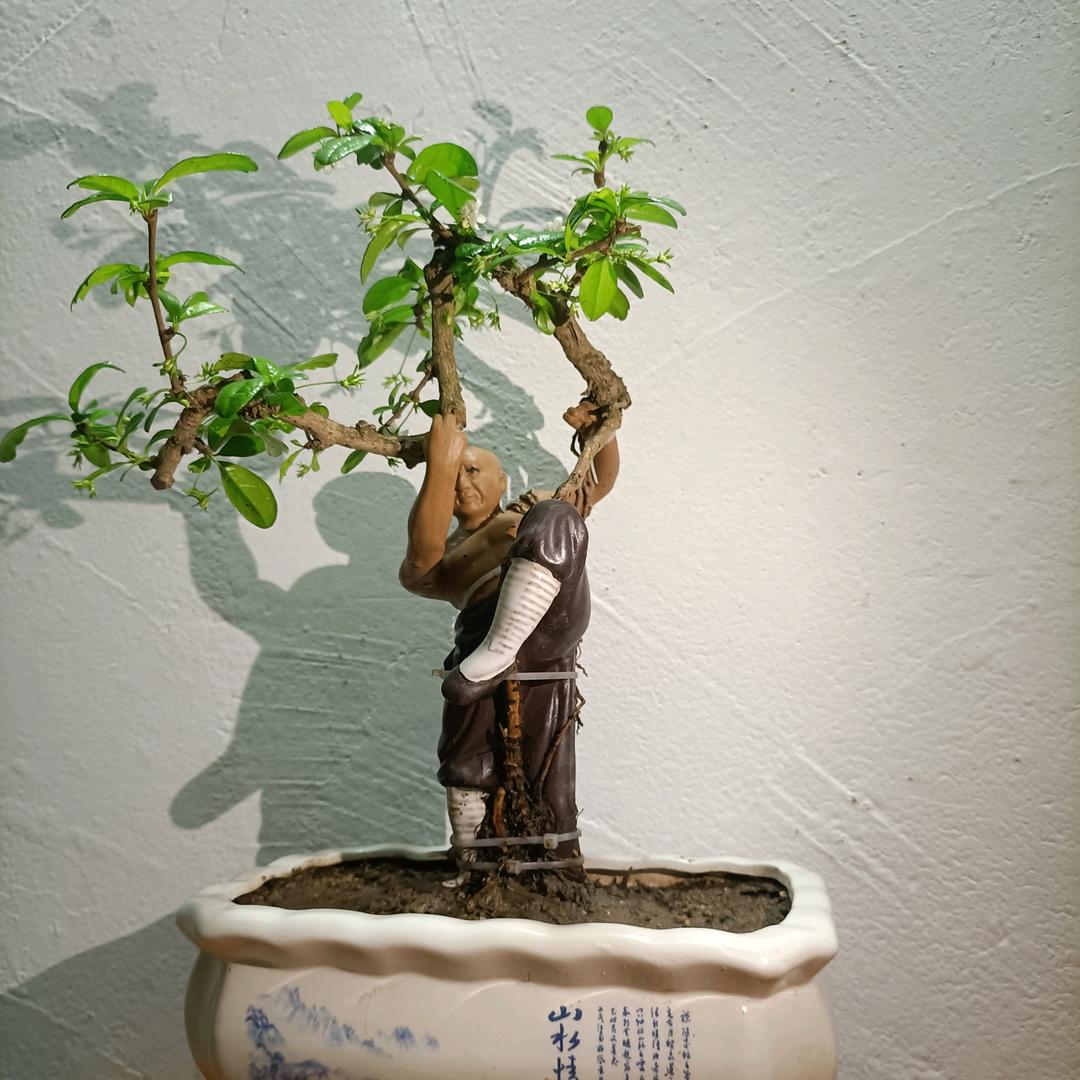 小元帅