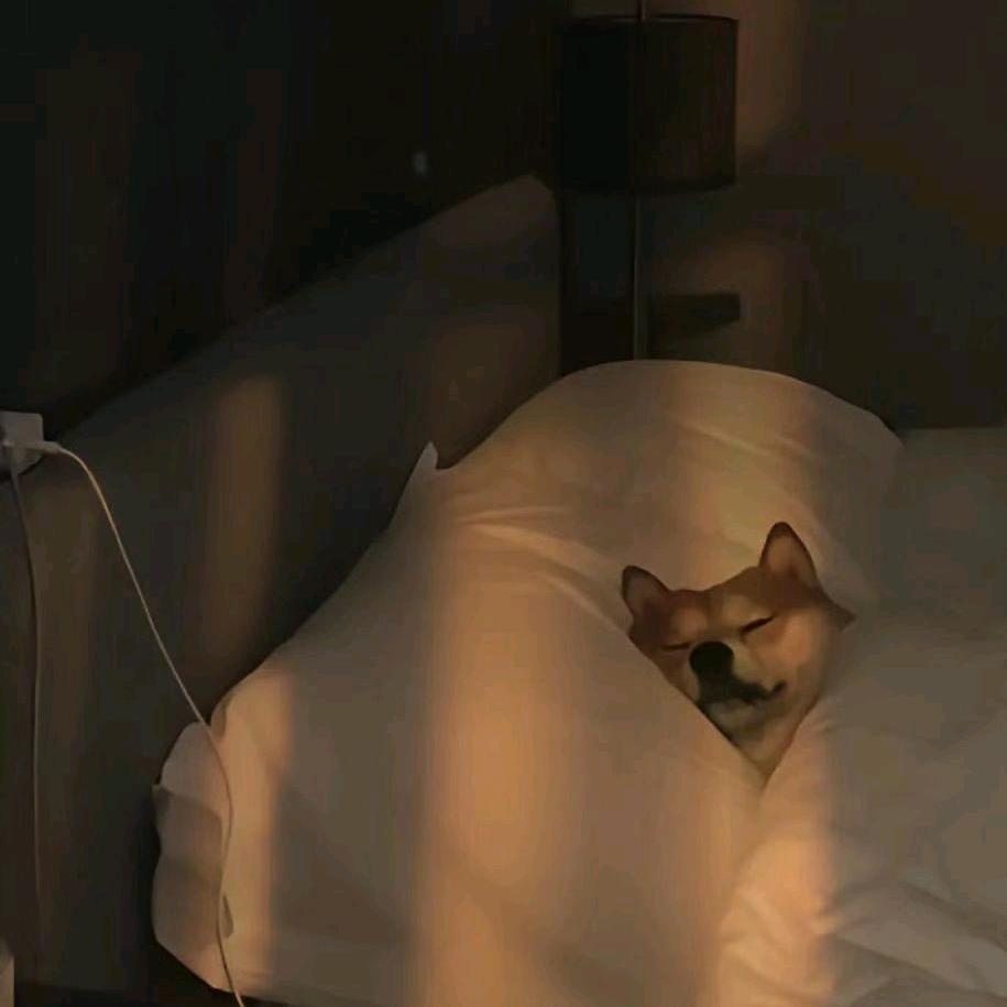 二狗.