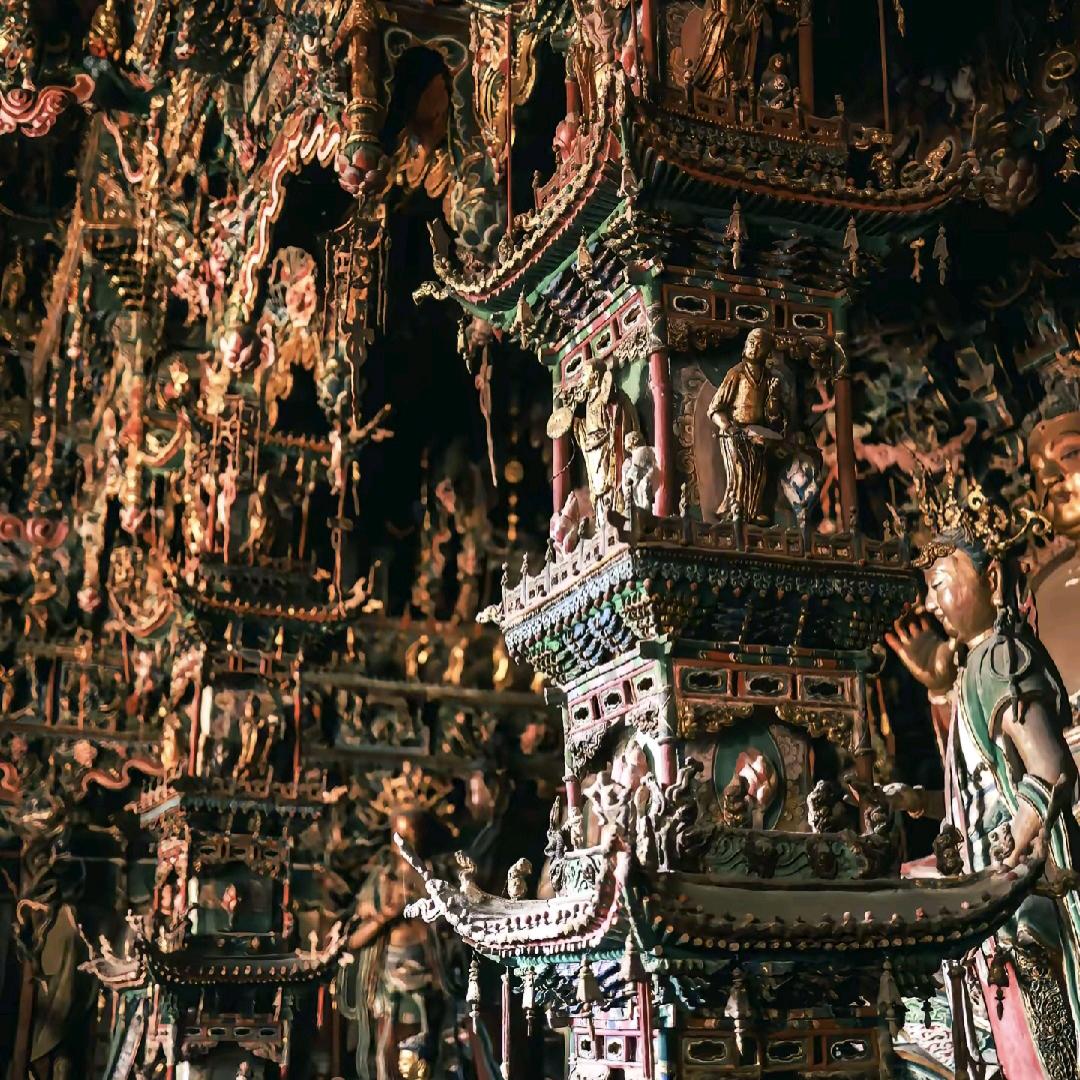 金猪猪(减肥中）