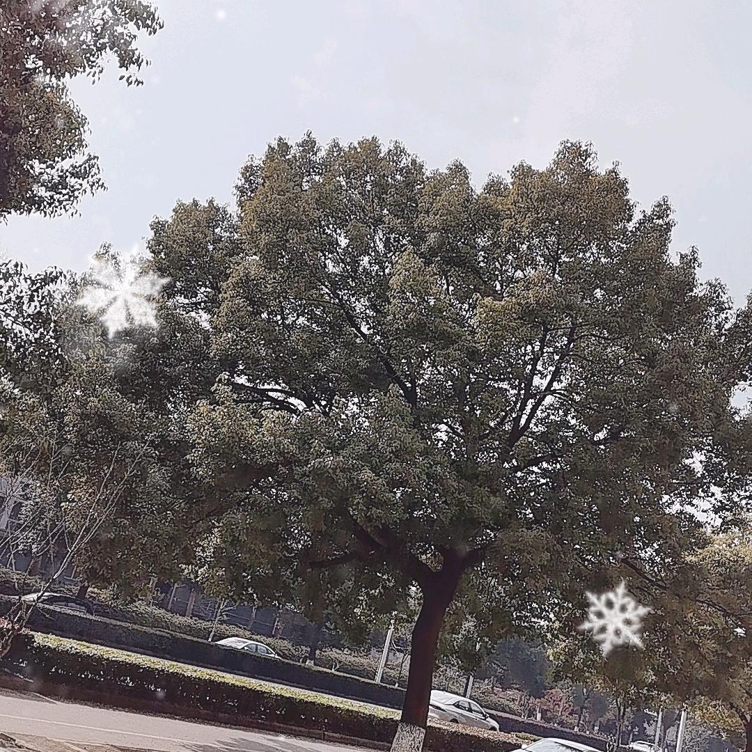 过好每一天。