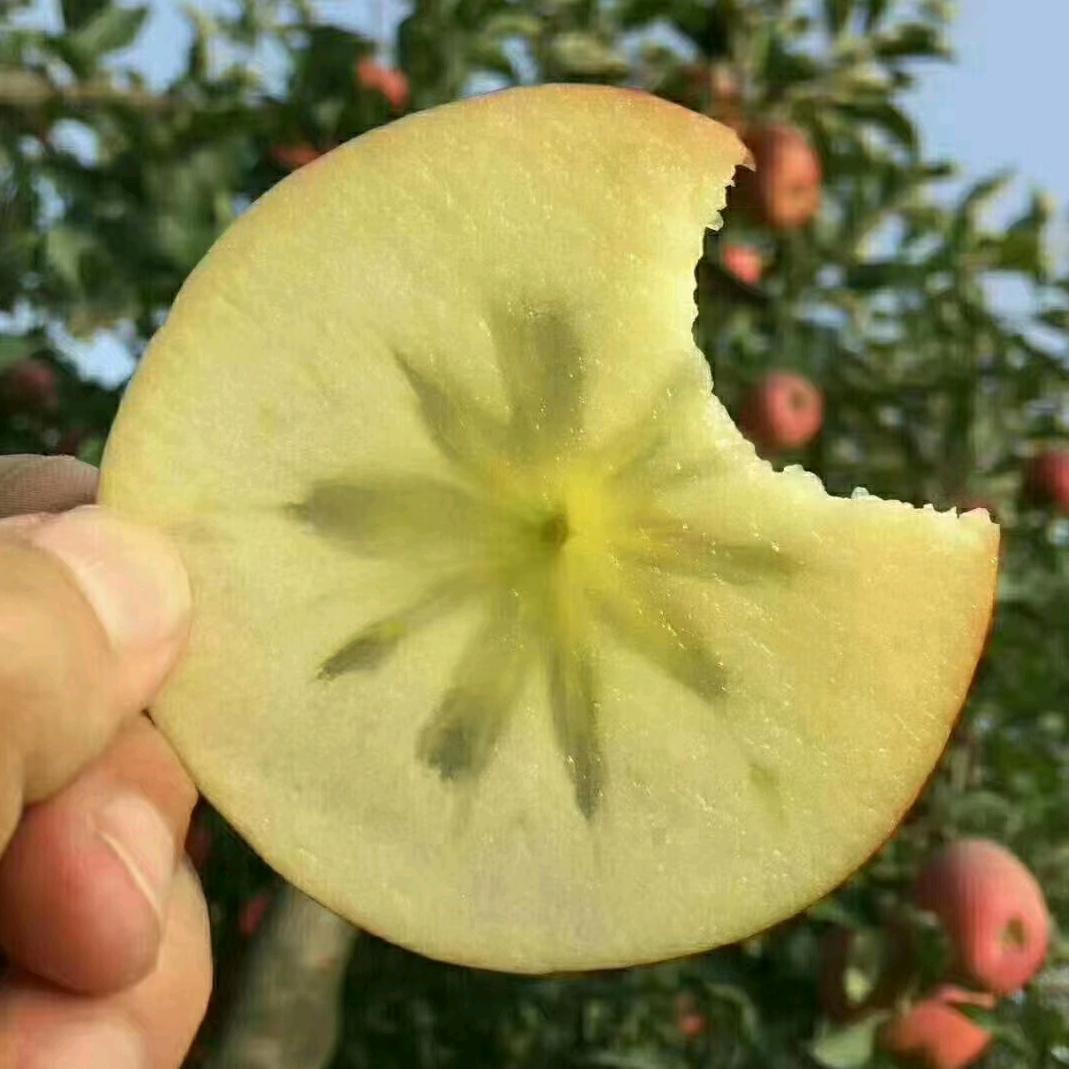 子枫家的阿克苏苹果