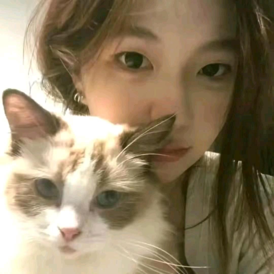 小盆爱小丸