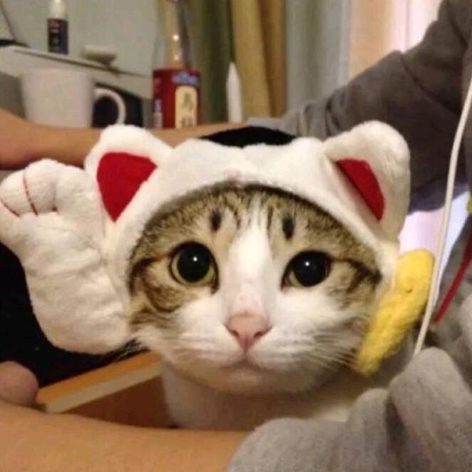 六六六饭桶