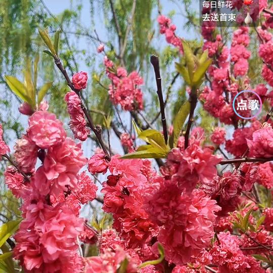 人生之旅