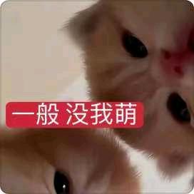 一朵小璇花