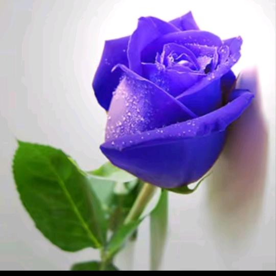 ঞ᭄余生💞安好🍒ഒᩚ࿐