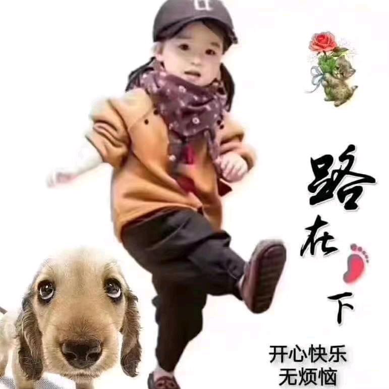苹果娃娃