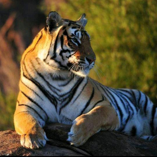 懂得珍惜🤗才配拥有🤗